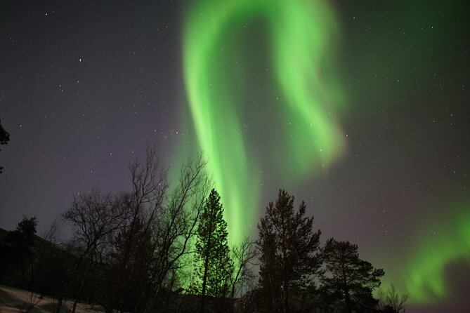 Northern Lights Hunt - From City Center At 7:00 pm To The Right Spot