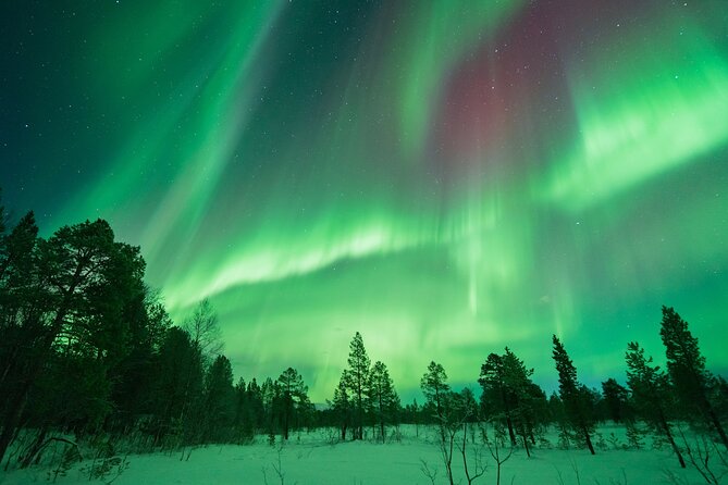 Northern Lights Hunt with The Green Adventure - photos included - How the evening starts: meeting at Scandic Ishavshotel and getting dropped safely