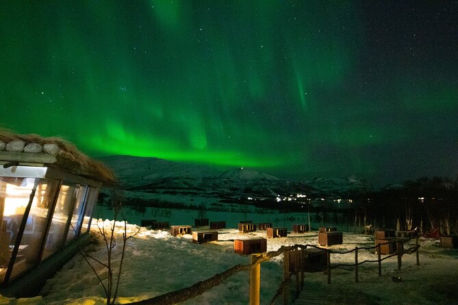 Northern Lights Husky Visit - What is included, what is not, and how to judge the price