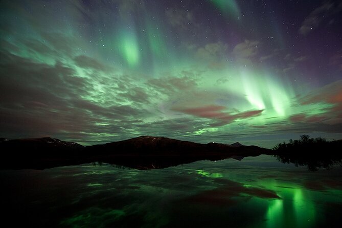 Northern Lights Husky Visit - Should you book the Northern Lights Husky Visit?
