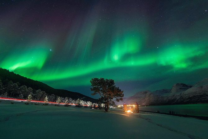 Northern Lights Minibus Chase from Tromsø with Chasing Lights - Where You Start in Tromsø (And Why the Meeting Point Matters)