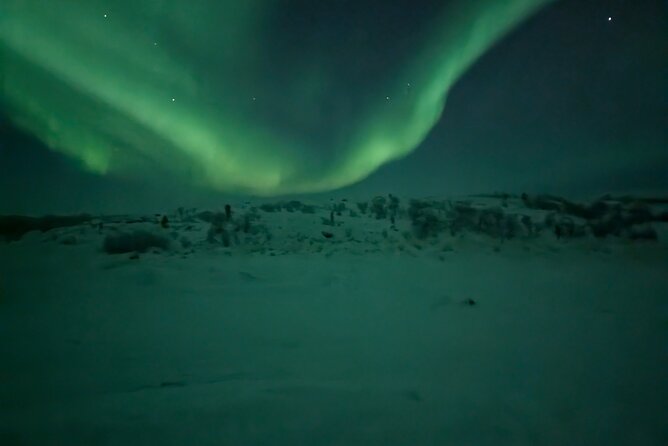 Northern Lights Minibus Chase Max 16 Person In Group - Minibus Chase After the Aurora: How the Evening Usually Plays Out