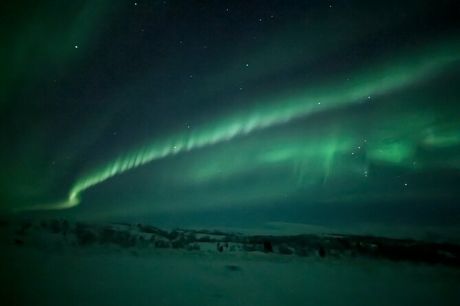 Northern Lights Minibus Chase Max 16 Person In Group - Guide and Driver: What You Should Confirm Before You Pay