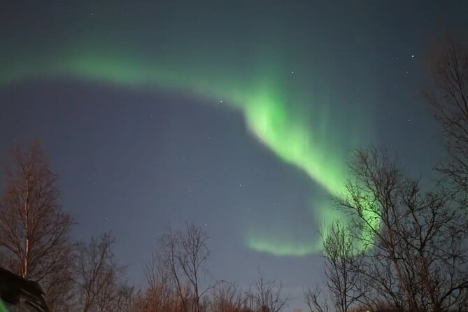 Northern Lights Minibus Chase Max 16 Person In Group - Price Check: Is $215.75 Worth It for Four Hours?