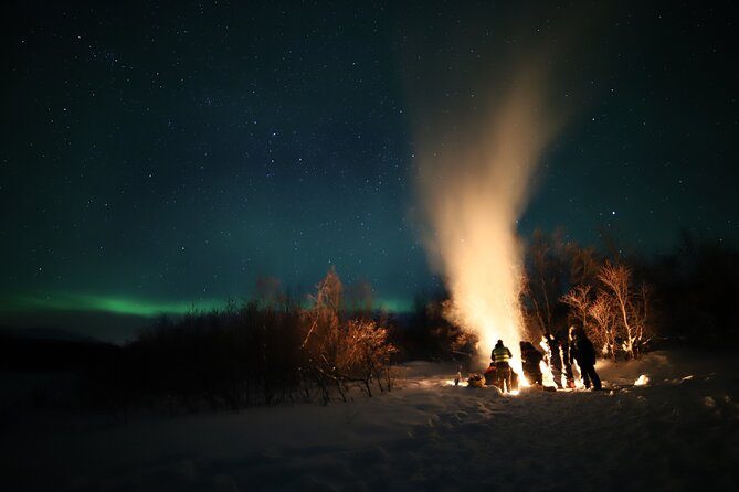 Northern lights photography tour - Price and value: what $225.94 covers, and what you are paying for