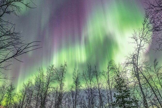 Northern Lights Private tour with your special ones - Greenlander - The guides: names you will hear, and what their approach signals