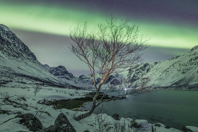 Northern Lights Private tour with your special ones - Greenlander - Timing and pickup: what your 6:00 pm start really means