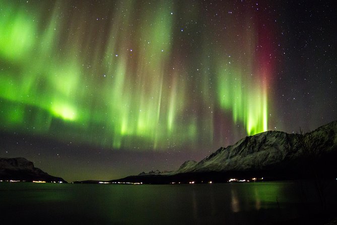 Northern Lights Safari from Tromso - Key highlights worth knowing