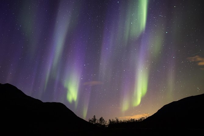 Northern Lights Safari from Tromso - Aurora photography help: tripod included and images you can actually use
