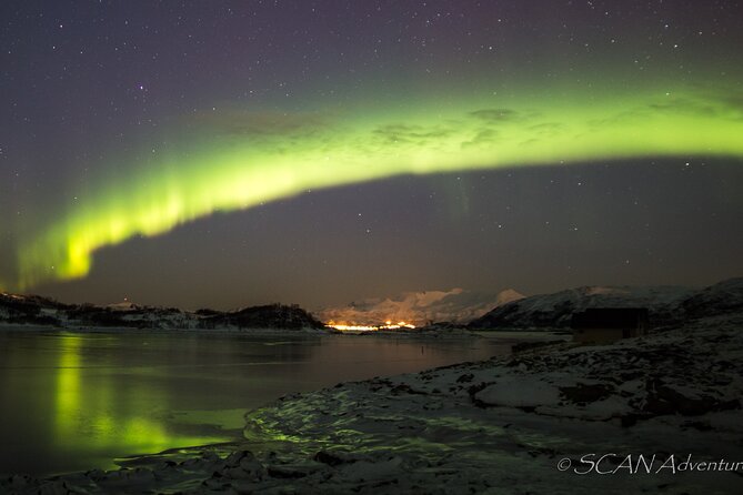 Northern Lights Safari from Tromso - Small-group vibes and the guide factor (Karina’s style)