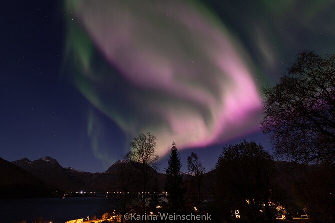 Northern Lights Safari from Tromso - Price and value: why around $152 can make sense