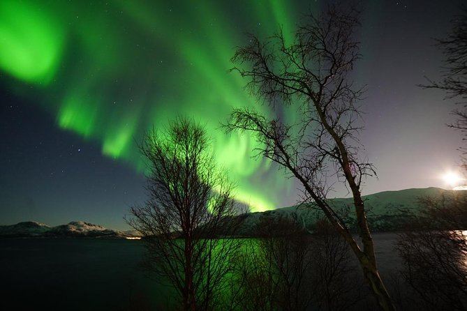 Northern lights - TeslaX Ecofriendly Car - What happens during the 3-hour aurora hunt