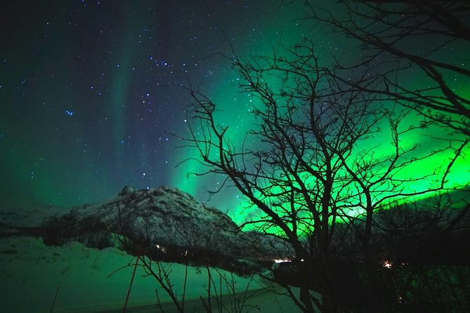 Northern lights - TeslaX Ecofriendly Car - Weather risk, cancellations, and how to protect your plan
