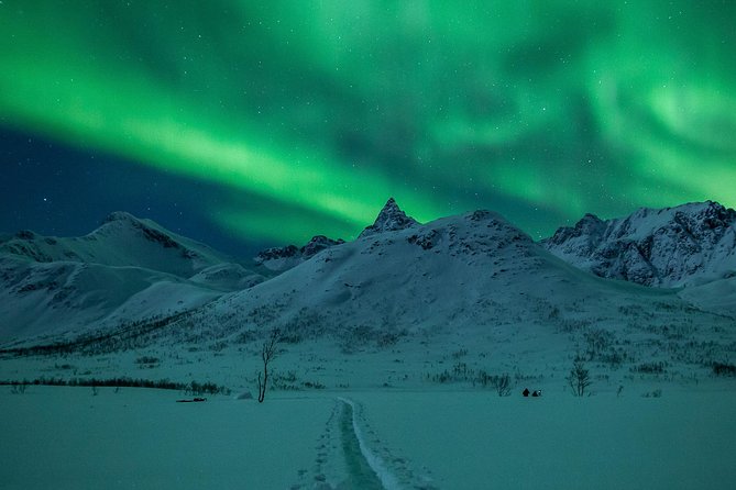 Northern Lights Tour from Tromsø - How the Northern Horizon hunt works in Tromsø