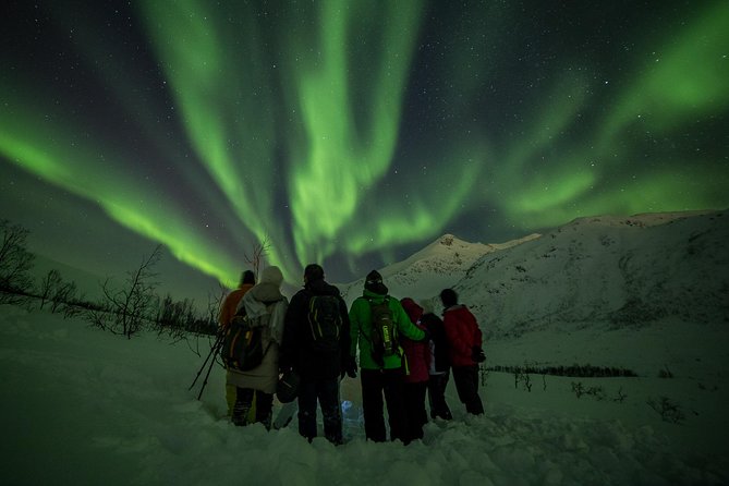 Northern Lights Tour from Tromsø - Photos: professional shots plus emailed results