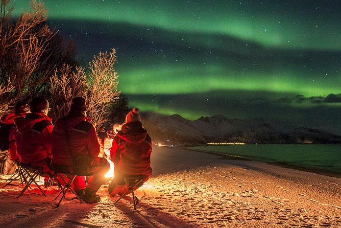 Northern Lights Tour from Tromsø - Price and value at about $259.11 per person