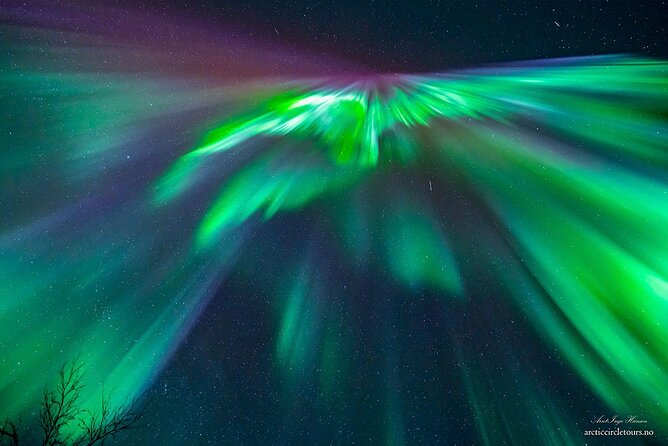 Northern Lights Tour, Photo, Toilet, Meal, Skycam in Mbus - Tromsø pickup at Ami Hotel, thermo suits, and what the guides actually do first