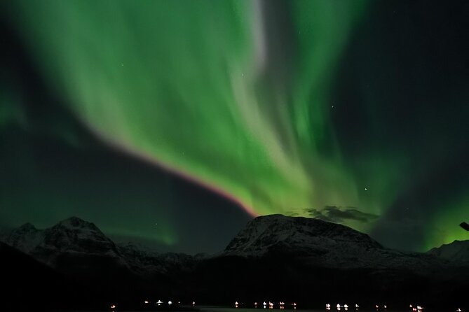 Northern Lights Tour, Tromso, Local Guide, Private Basecamp - Guide-led moments: why Trygve’s approach gets praised