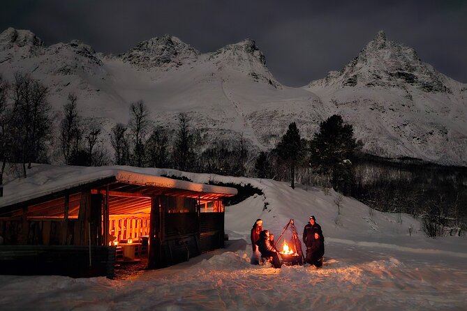 Northern Lights Tour, Tromso, Local Guide, Private Basecamp - Price and value at about $204.97 per person