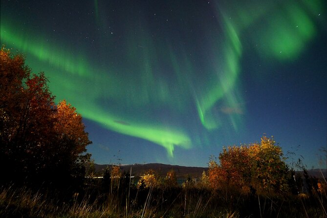 Northern Lights tour with Alta Adventure - The hunt plan: how they chase dark skies and cloud breaks