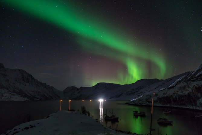 Northern Lights tour with Alta Adventure - Guides like Stig, Steve, Sebastian, Marius, Dia, and Max: why the host matters