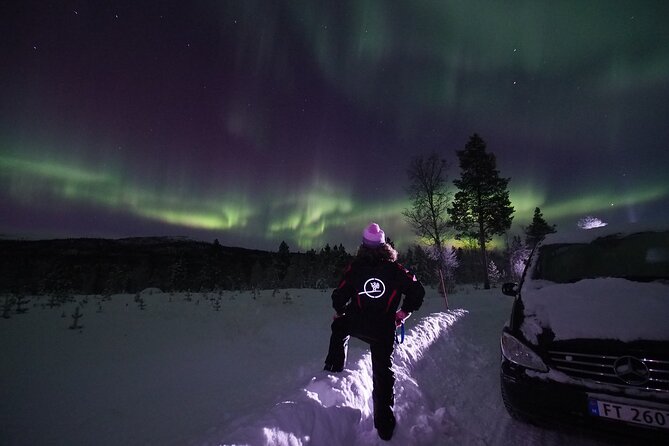 Northern Lights tour with Alta Adventure - Price and value: what $235.37 buys you in Alta