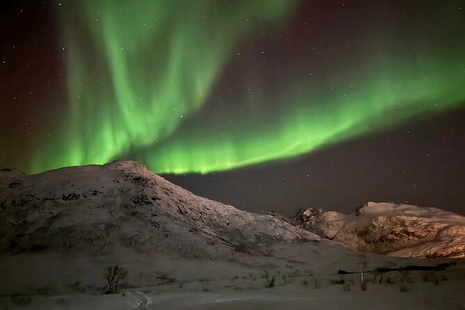Northern Lights Tour with Hot Food and Drinks in Tromso - Photo support with tripods and headlamps, plus the “how-to” that helps