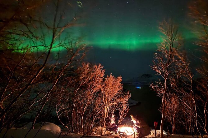 Northern Lights Tour with Hot Food and Drinks in Tromso - Weather reality: what to expect when the sky is stubborn