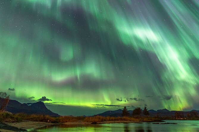 Northern Lights Tour with Local Guide and Photos - Stop to Watch the Aurora: Campfire Warmth and a Photography-First Approach