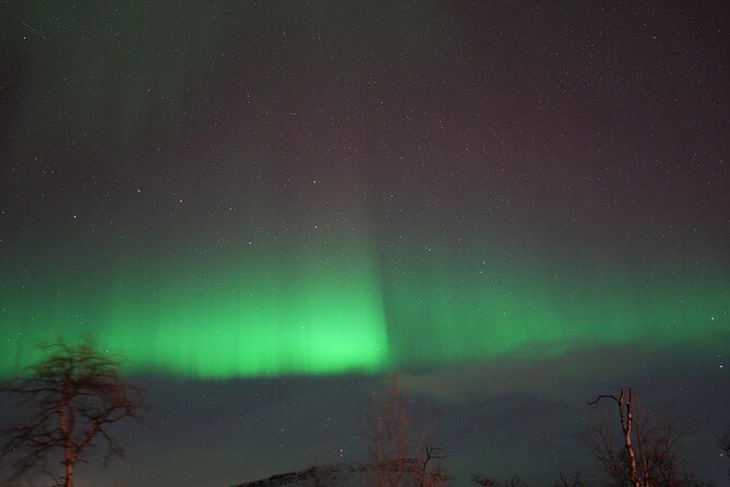 Northern Lights Tour with Local Guide and Photos - Photo Help and Getting Your Images After the Tour
