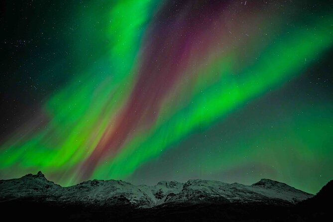 Northern Lights Tour with small group of 8 people - Key highlights before you go