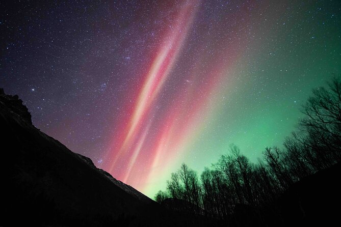 Northern Lights Tour with small group of 8 people - The Comfort Plan: Thermal Suits, Warm Boots, and a Real Chance to Stay Put