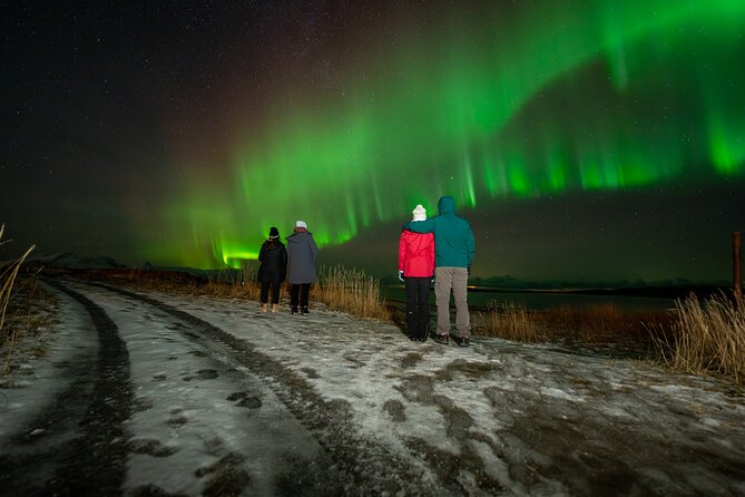 Northern Lights Tours Bodo Norway - Meet Ivar and Settle Into a Heated Van With Aurora-Friendly Viewing