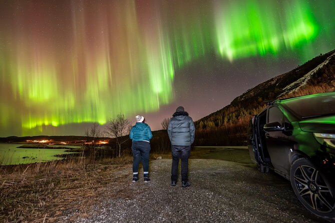 Northern Lights Tours Bodo Norway - How the Night Moves: Driving Into Darker Countryside for Clearer Chances