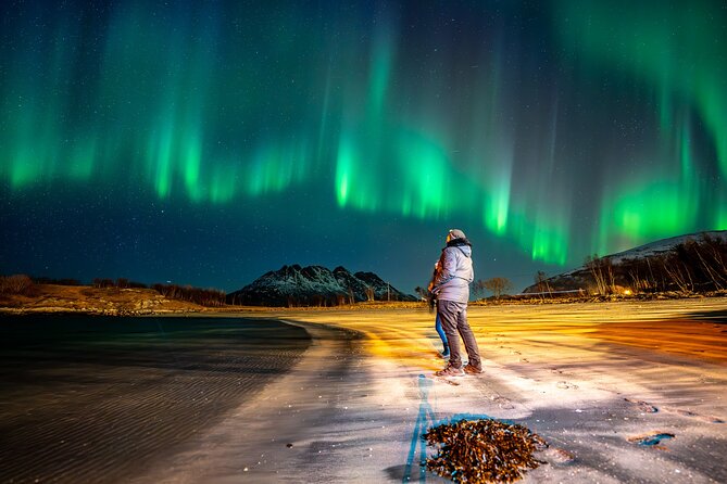 Northern Lights Tours Bodo Norway - Logistics That Make Winter Easier in Bodø