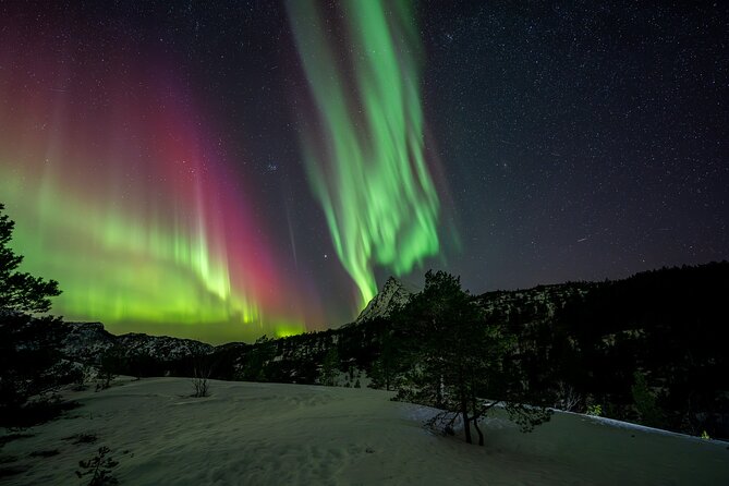 Northern Lights Tours Bodo Norway - Weather Dependence, and How to Think About Your Odds