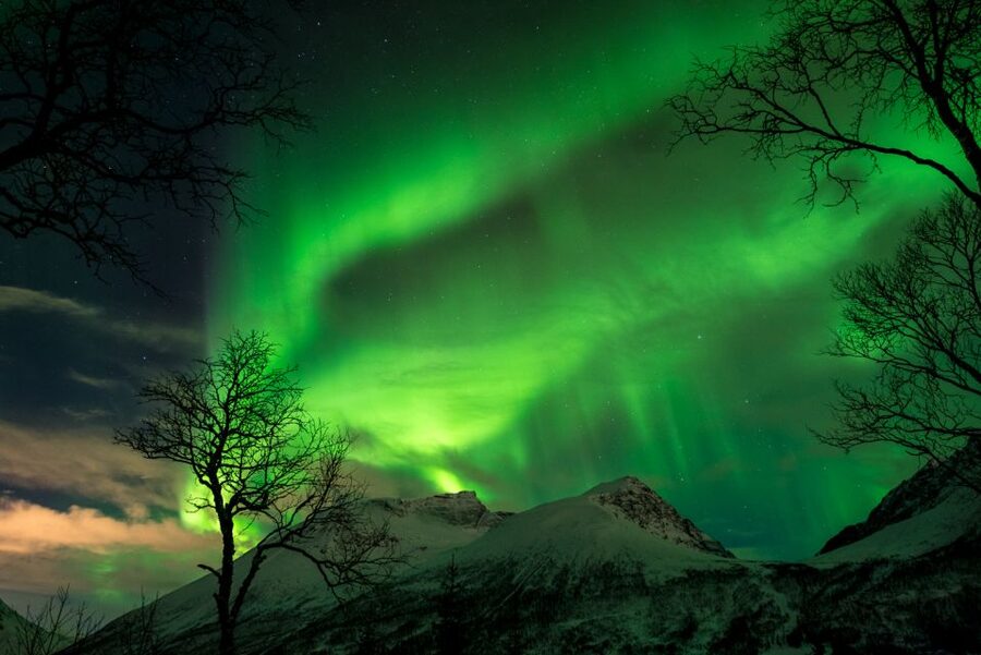 Northern lights Tromsø - small group tour with local guide - Photos within 48 hours: why this matters more than you think