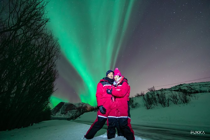 Northern Lights x Mini Bus Chase - Key Things to Know Before You Go