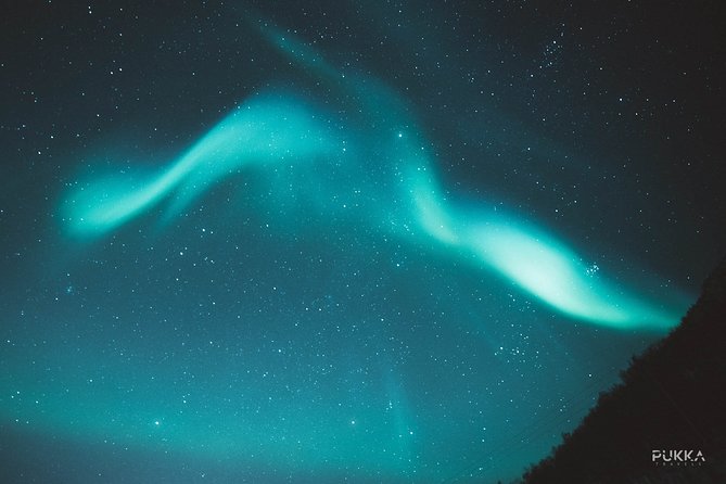 Northern Lights x Mini Bus Chase - Price and Value: Is $187.81 Fair for This Experience?