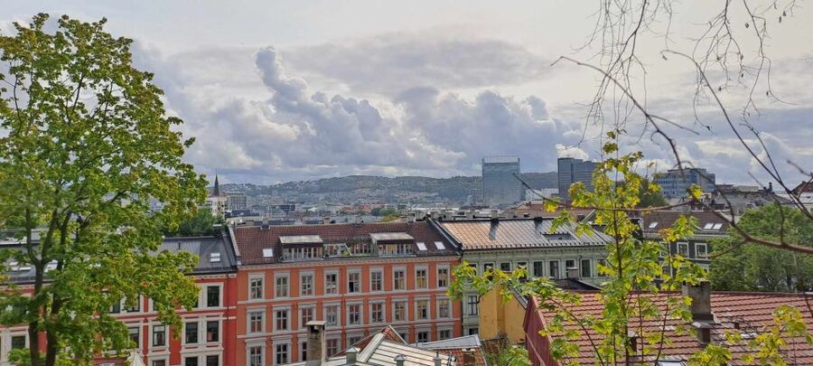 Norwegian Food Tour & Hidden Gems of Oslo - The 4-Kilometer Walk: Mostly Easy, With a Few Short Hill Climbs