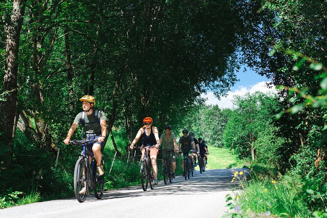 Olden: Fjord e-bike tour - 6 Big Reasons This Olden E-bike Tour Works
