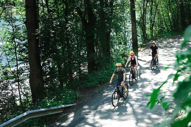 Olden: Fjord e-bike tour - What You Actually Get: Bike, Helmet, Local Guide, Not Rushed