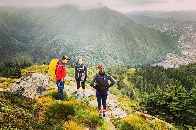 On Top of Bergen - Public Tour - Price and Value: Is It Worth About $199?