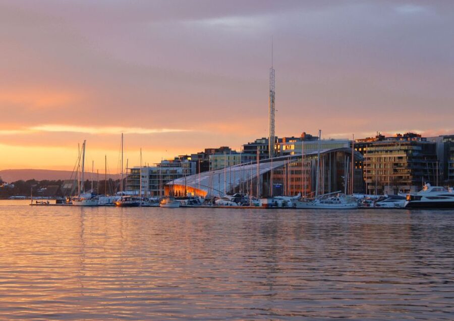 Oslo: 100% Electric Oslofjord Sightseeing Cruise - Who this electric Oslofjord cruise suits best