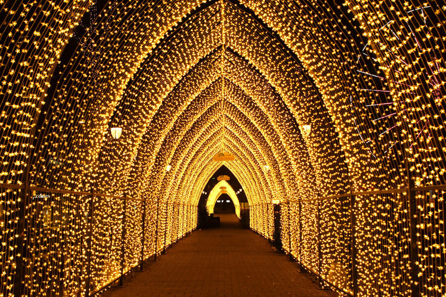 Oslo: 2-hour Christmas Private Walking Tour - Key Things You’ll Notice on This Oslo Christmas Walk