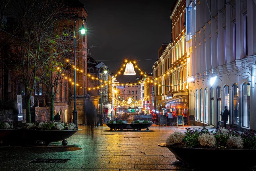 Oslo: 2-hour Christmas Private Walking Tour - Karl Johans gate and the Oslo University Christmas Tree