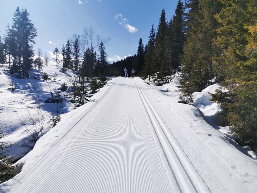 Oslo: 3-hour Cross Country trip with equipment and guide - Oslomarka, private guide, and a plan that reduces stress