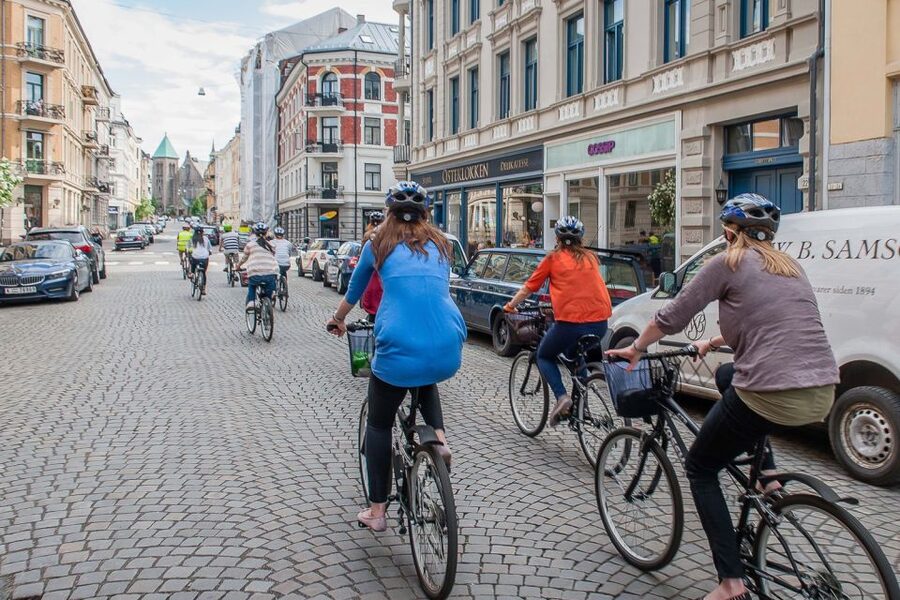 Oslo: 3-Hour Highlights Bike Tour - Tjuvholmen, the Fjord, and the Finish at Aker Brygge