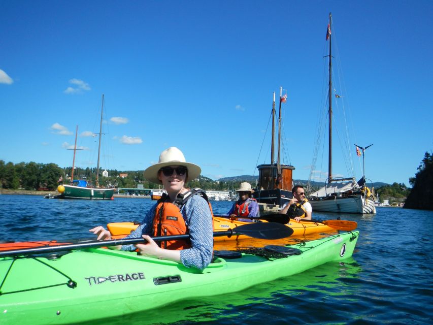 Oslo: 3-hour Kayaking Trip on the Oslofjord - Stop-and-Story Moments: Local Knowledge Adds Depth