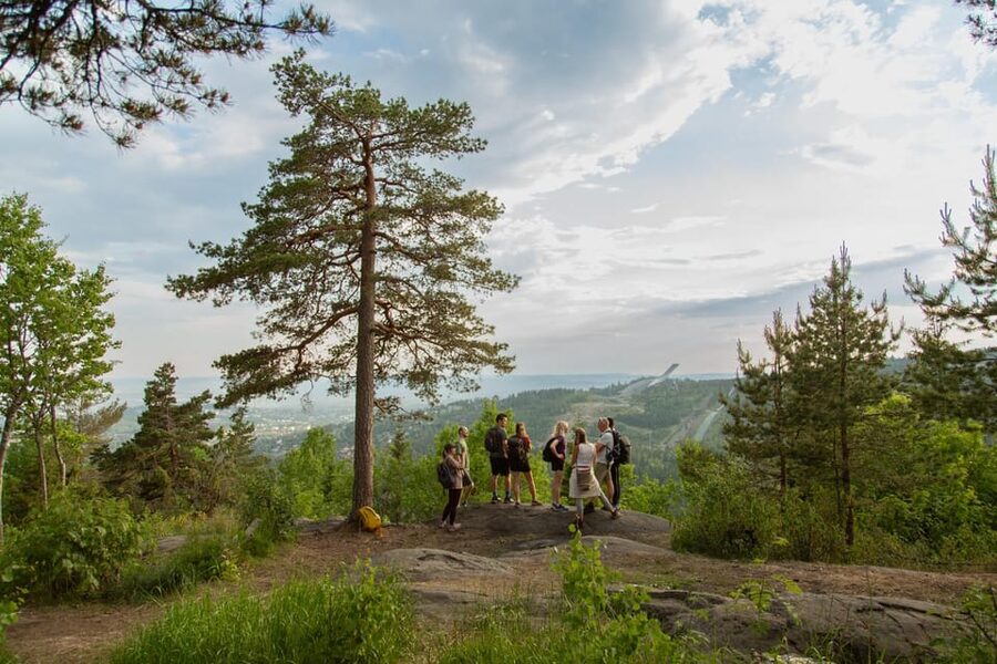 Oslo: Best View of the Oslofjord Hike - From Oslo Central to the Frognerseteren Metro Line